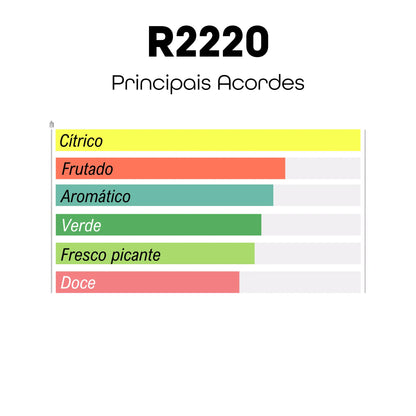 R2220 - Inspirado em Pacific Chill - Louis Vuitton - 100ml - Beleza2 Perfumes