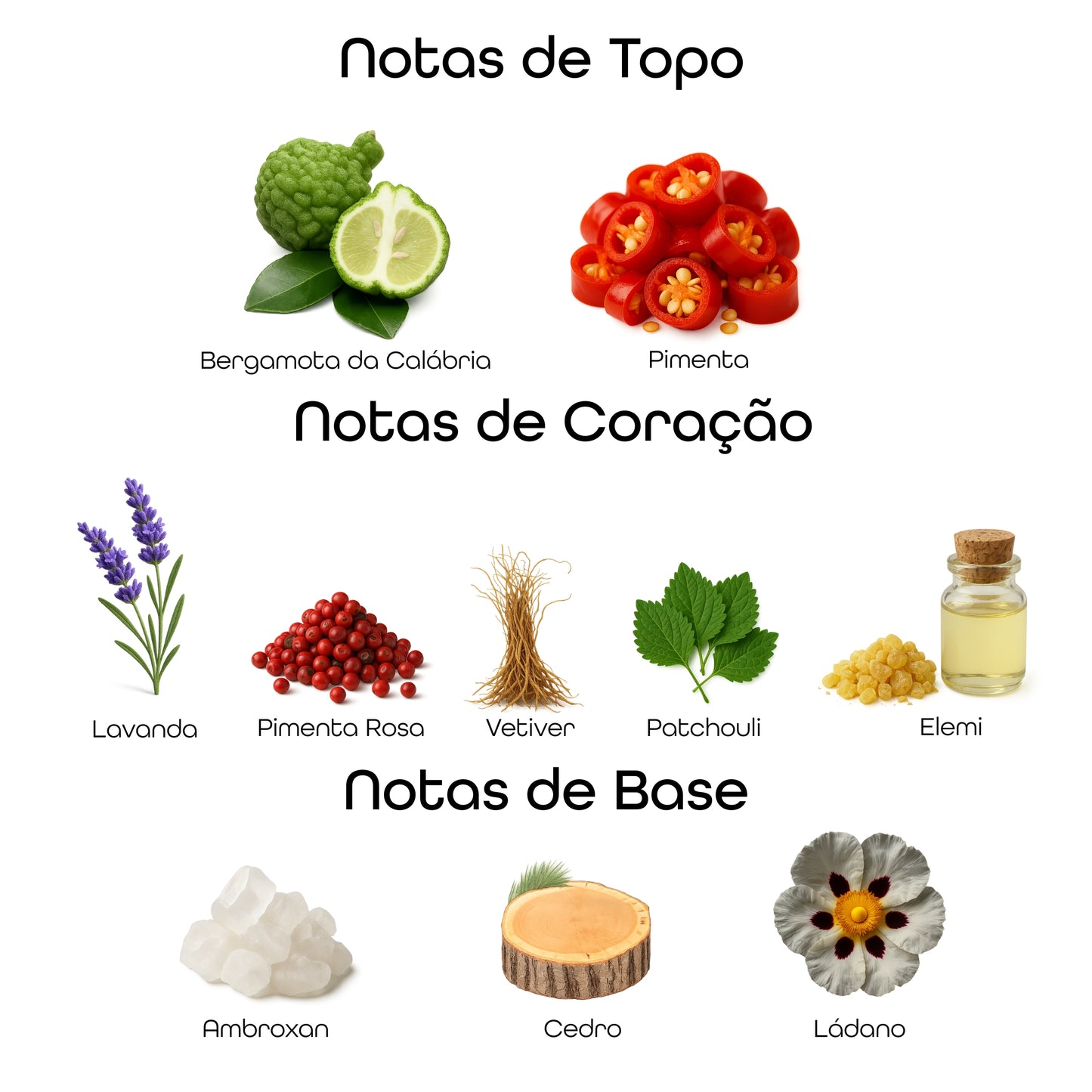 R600 - Inspirado em Sauvage EDT - Dior - 100ml - Beleza2 Perfumes