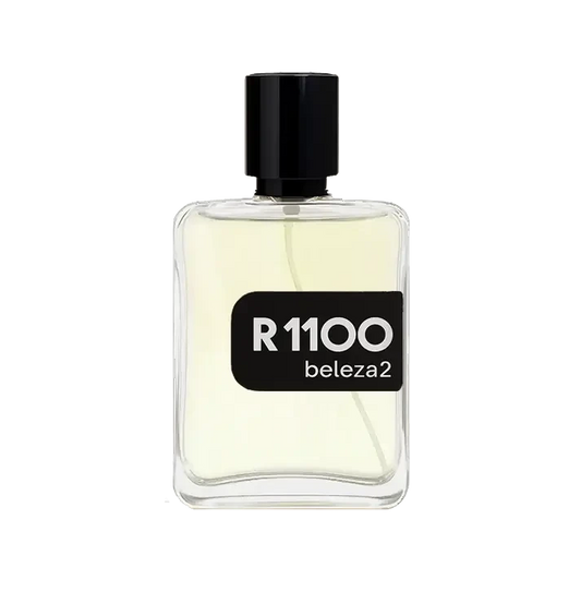 R1100